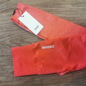 Adapt Ombre seamless gymshark leggings
